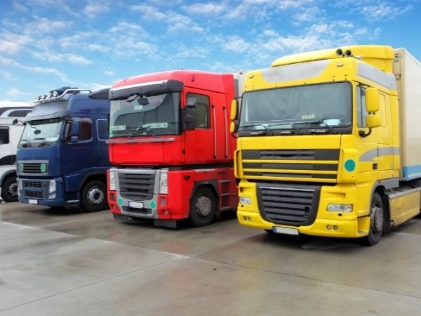 Ankara Borçka Nakliye